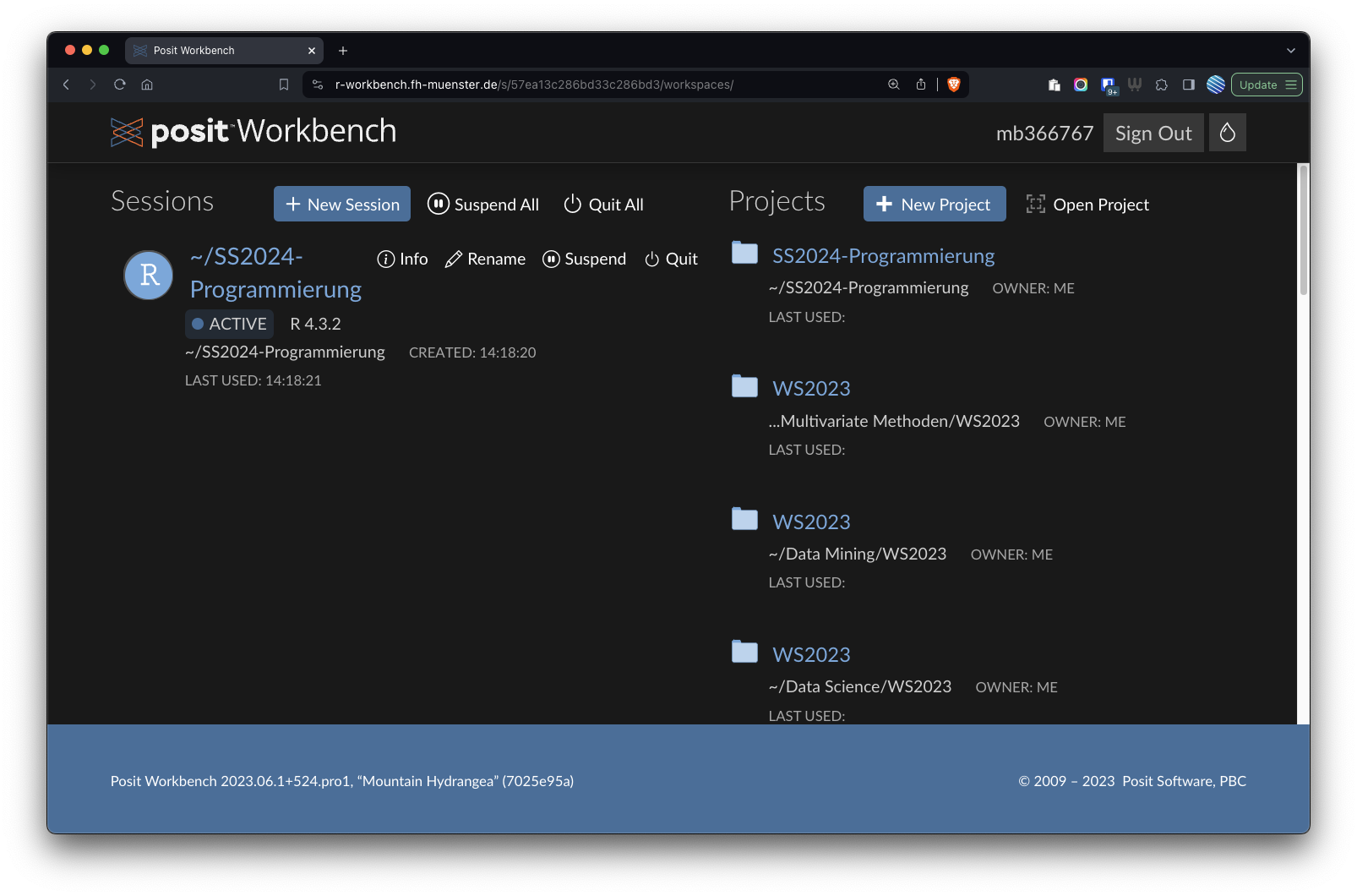 FH Münster Posit Workbench Übersichtsseite